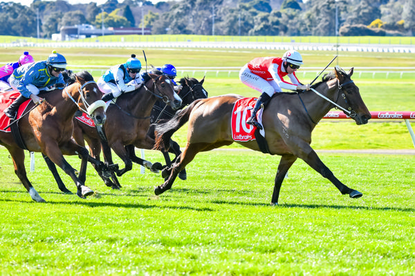 Kick-starting his career in style (image Pat Scala/Racing Photos)