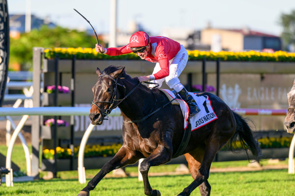 A fourth Gr 1 for Ryan Maloney (image Inglis)