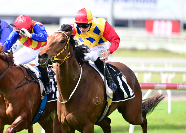 Sonny Daze a first Doomben winner for Bailey Wheeler (image Brisbane Race Club - Grant Peters, Trackside Photography