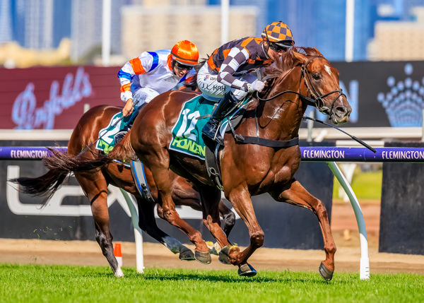 Southport Tycoon ins the G1 VRC Australian Guineas - image Grant Courtney