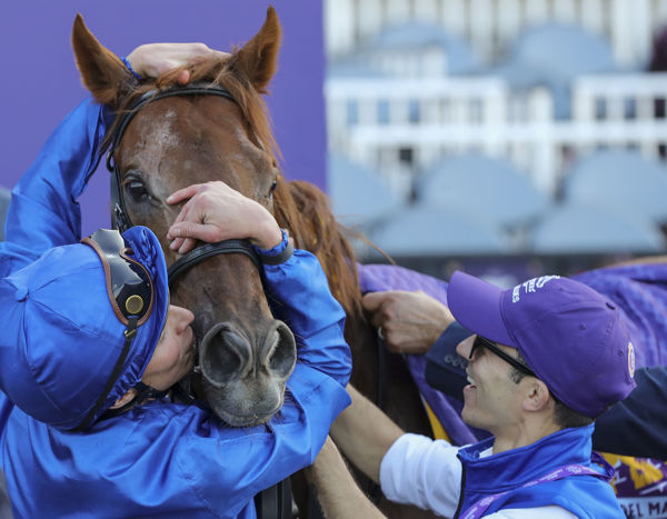 William Buick shows Space Blue some love (image Bill Denver /Eclipse Sportswire/Breeders Cup)