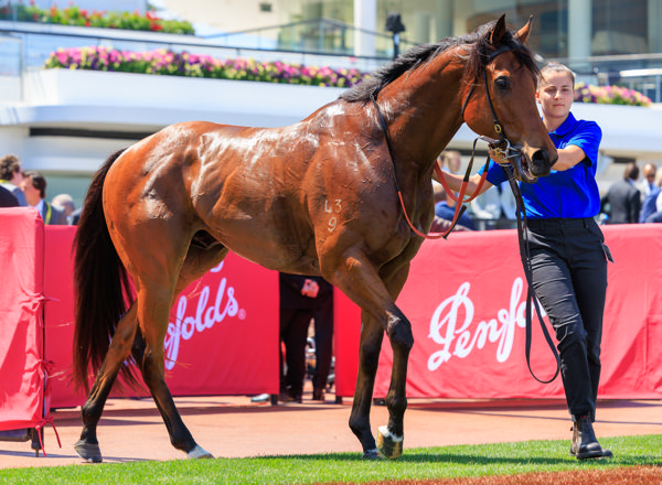 A good earner for Godolphin (image Grant Courtney)