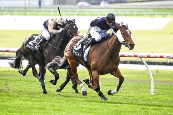 Spirit Of Nurai launches down the centre of the track (image Pat Scala/Racing Photos)