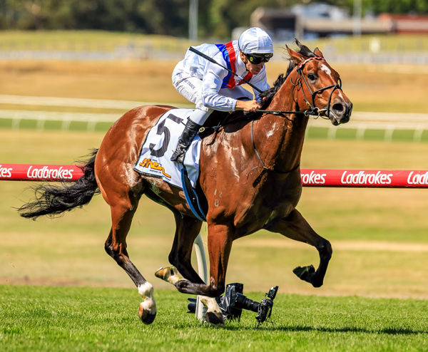 Bring on the Oakleigh Plate (image Grant Courtney)