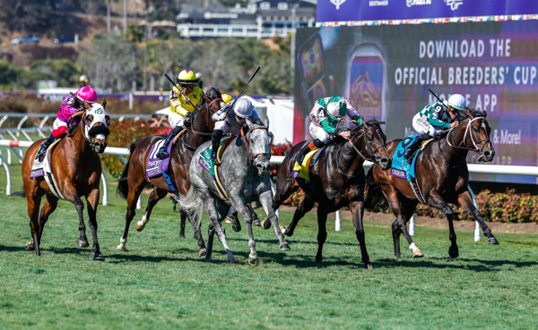 What a finish (image Breeders Cup)