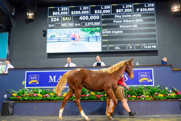 $400,000 Stay Inside filly from Pasar Silbano (IRE).