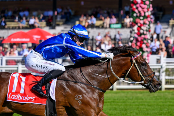 Steady Ready on his own (image Racing Queensland/Michael McInally)