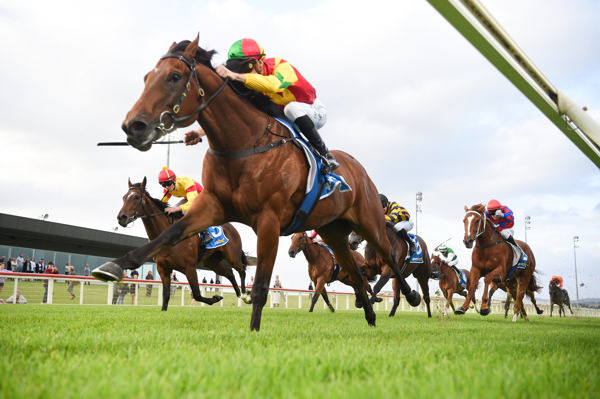 Subsix breaks his maiden in style (image Racing Photos)