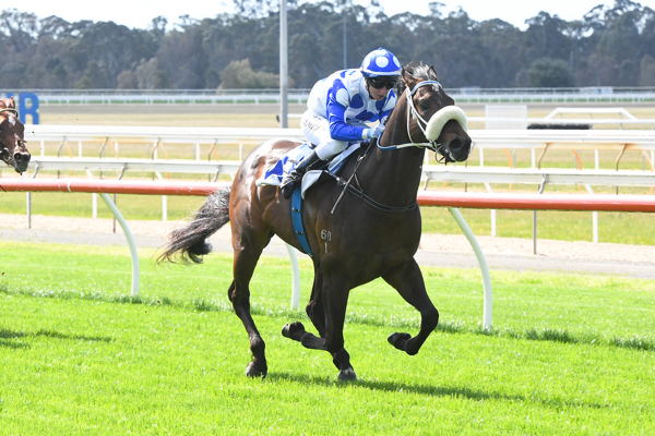 Two for two for Sugar Coast (image Brett Holburt/Racing Photos) 