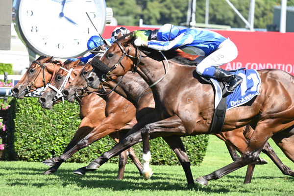 What a finish to the Surround Stakes - Sunshine in Paris beats Ruthless Dame, In Secret and Zougotcha - image Steve Hart 