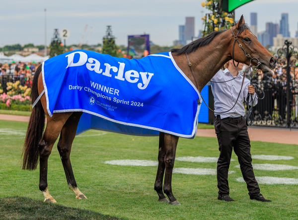 Your Champions Sprint winner (image Grant Courtney)