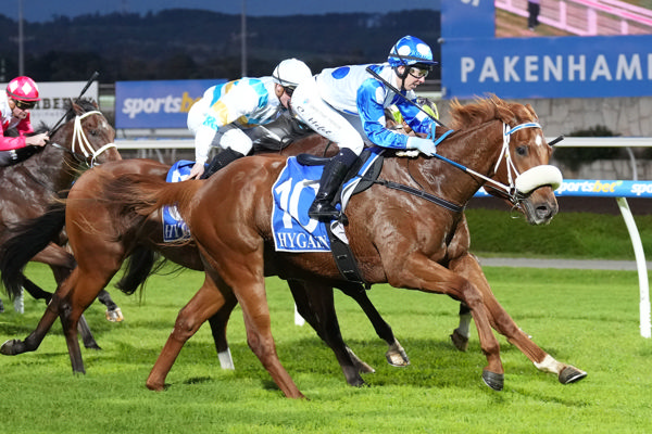 Supernima wins a touch cosily on debut (image Racing Photos)