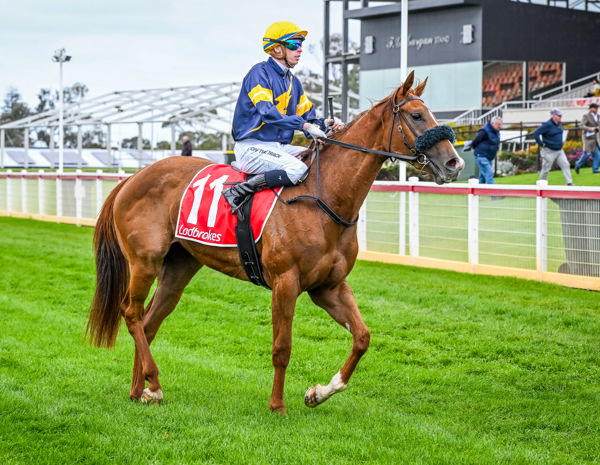 These colours are winning everywhere (image Reg Ryan/Racing Photos)