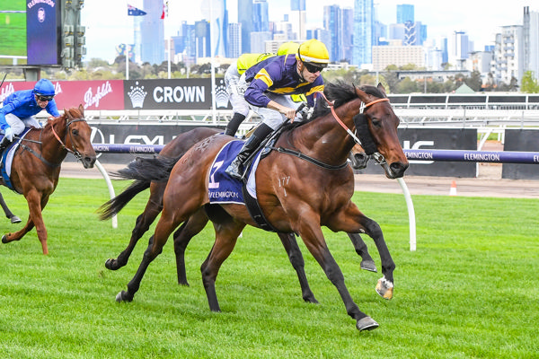 Swiftfalcon very promising (image Brett Holburt/Racing Photos)