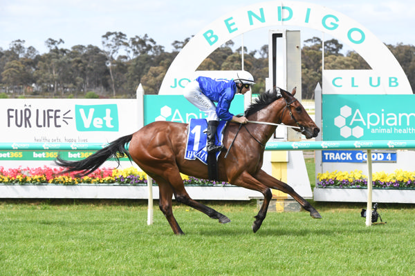 Swifties in a breeze (image Racing Victoria)