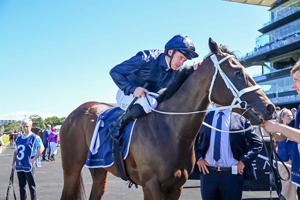 Can Coolmore and Snitzel make it consecutive Golden Slippers (image Steve Hart)