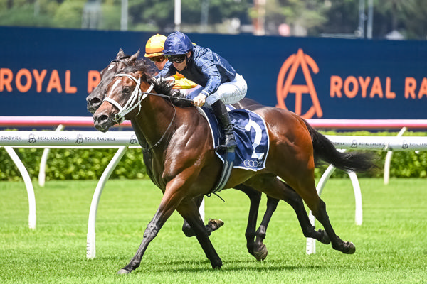 $1.5million Switzerland Keeps His Golden Slipper Hopes Alive – Brother to Sell at Easter | Breednet