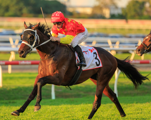 ads lead to the Queensland Derby for Tannhauser (image Grant Courtney)