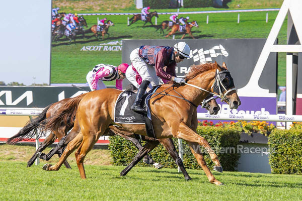 The Boss Lady gets the job done (image Western Racepix)