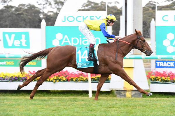 A sit and steer job (image Brett Holburt/Racing Photos)