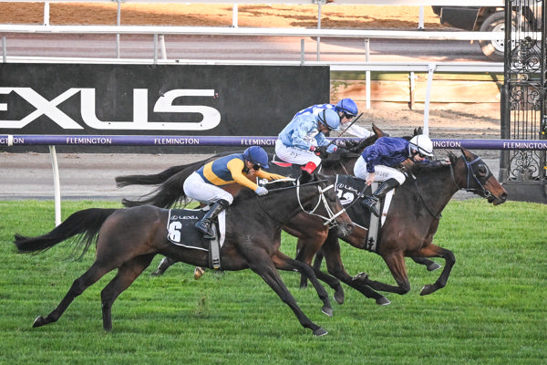 The Map finishes best in a thriller (image Reg Ryan/Racing Photos)