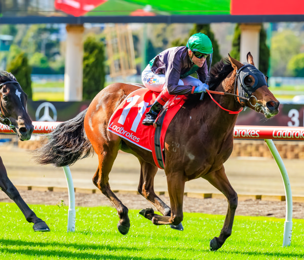 Title Fighter wins at Moonee Valley for Clayton Douglas and Craig Williams - image Grant Courtney