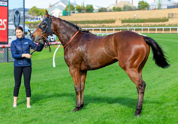 More wins in store for this son of Lean Mean Machine (image Grant Courtney)