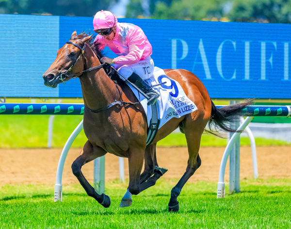 Too Darn Lizzie is the fourth Australian winner for her sire Too Darn Hot (GB) -image Grant Courtney