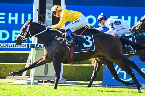 G1 placed Tutta La Vita is an exciting addition to the Inglis Chairman's Sale - image Steve Hart