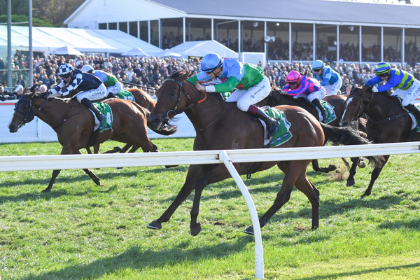 Tuvalu toughs it out before a big crowd (image Pat Scala/Racing Photos)