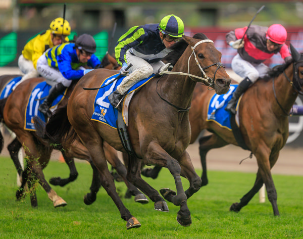 Uncle Bryn powers to his fourth stakes win (image Grant Courtney)