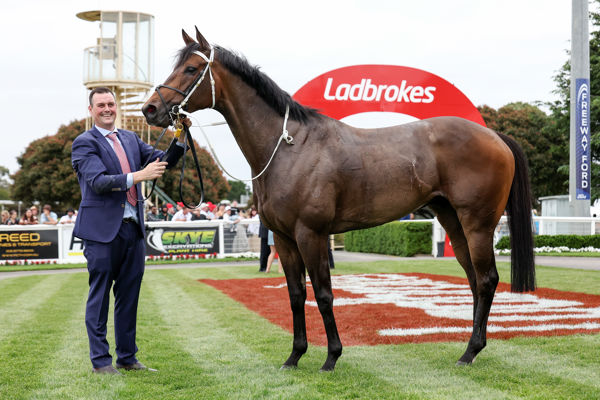 Uncle Bry (GB) a good-looking son of Sea The Stars (image George Sal/Racing Photos)