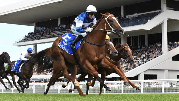 Velocious claims Sistema Stakes (image Kenton Wright (Race Images)