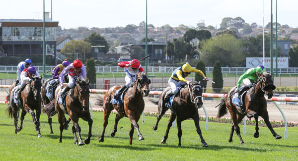 Virtuous Circle (inside) makes a winning return at The Valley Photo: Bruno Cannatelli