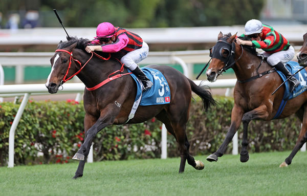 All good things come to an end, Waikuku (IRE) beats Golden Sixty to win G1 Steward's Cup.