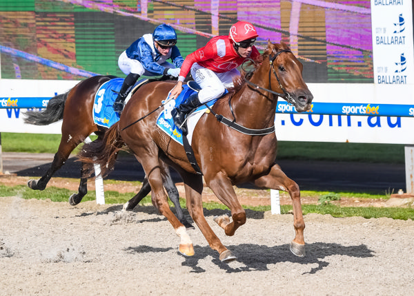 Wiggum lays down the law (image Pat Scala/Racing Photos)