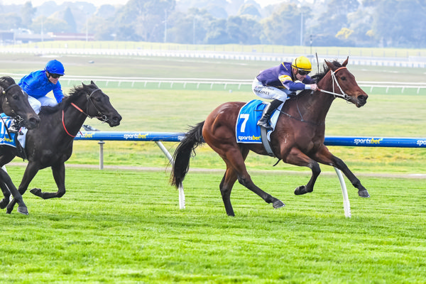 Winchester leads them a merry dance (image Pat Scala/Racing Photos)