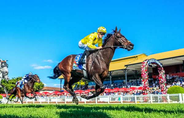 Turning on the after burners in the Queensland sunshine (image Grant Courtney)