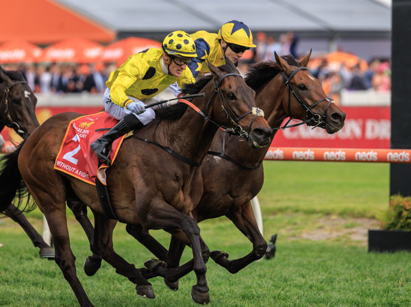 Teofilo Cup Caulfield quinella, can they repeat in Melbourne Cup? -image Grant Courtney  