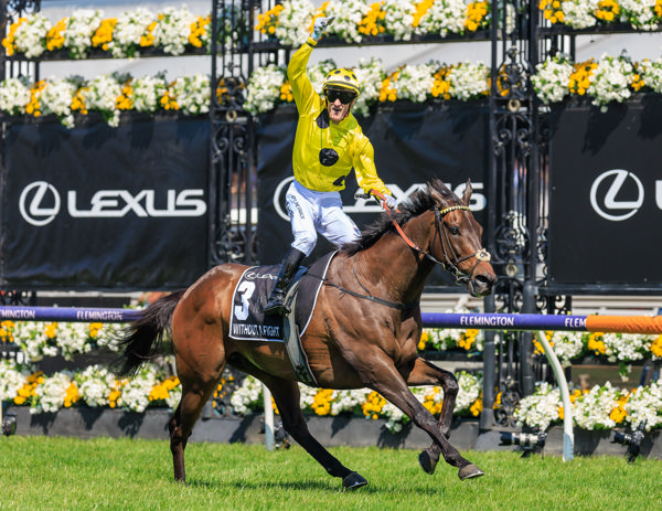 Imported stayer Without a Fight (IRE) won both the Caulfield and Melbourne Cups last year - image Grant Courtney.