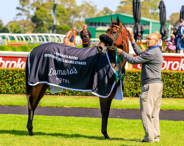 Wrote To Arataki looking for further stakes success (image Grant Courtney)