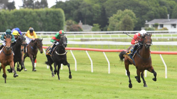 Zabmanzor win in the Gr.3 Wellington Stakes (1600m).  Photo: Peter Rubery (Race Images Palmerston North)