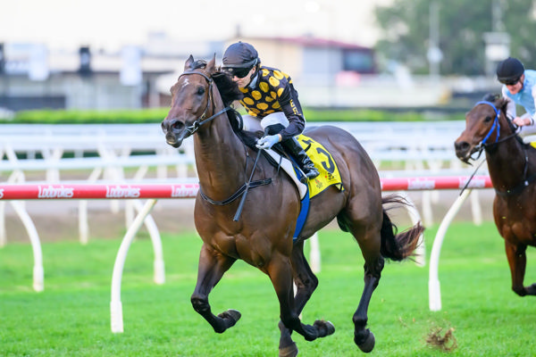 Zarastro is back in winning form at Eagle Farm - image Racing Queensland / Michael McInally 