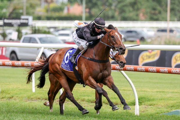 Timely win for Zennzella (image Racing Victoria)
