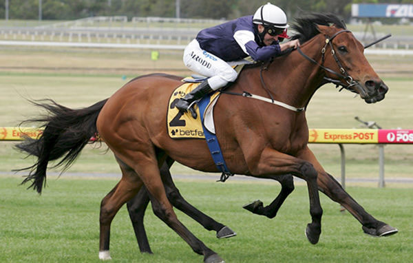 Zipping won $4.5million and is fondly remembered by many - image Racing Photos