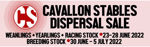 Bloodstockauction Present Cavallon Stables Dispersal Sale 