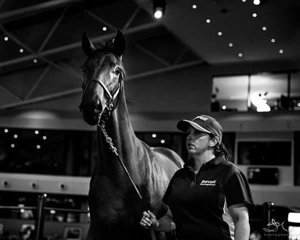 Alison Hush is the new Vice President of HTBA.