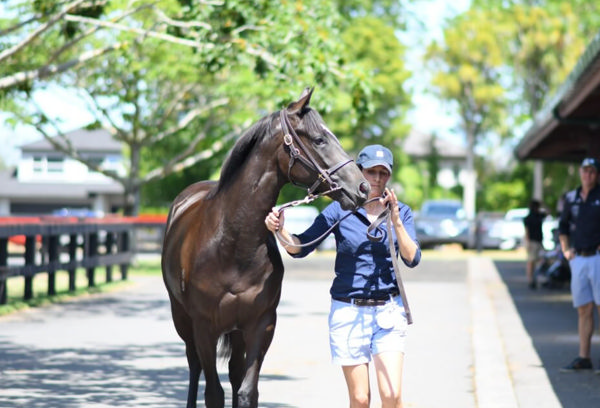 Former New Zealand eventer Annabel Tuthill is looking forward to kicking off her thoroughbred training career.  Photo: Supplied