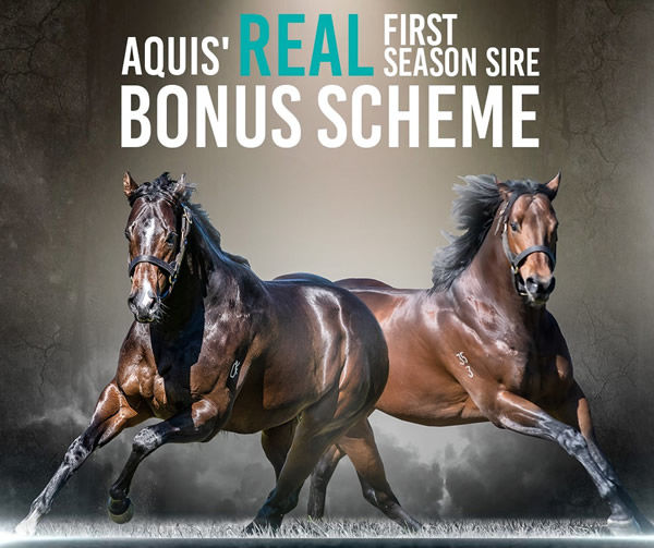 Take advantage of the Aquis Real Bonus at Inglis Classic 