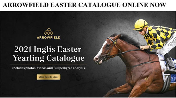 Click to see the very best of Arrowfield at Inglis Easter.